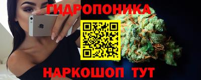 прущие крисы Кунгур